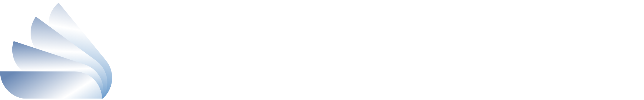 Usama Ghauri Logo - Footer